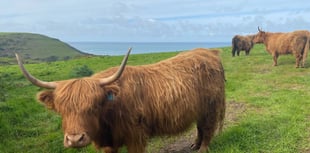 South West Coast Path meeting held at Wembury