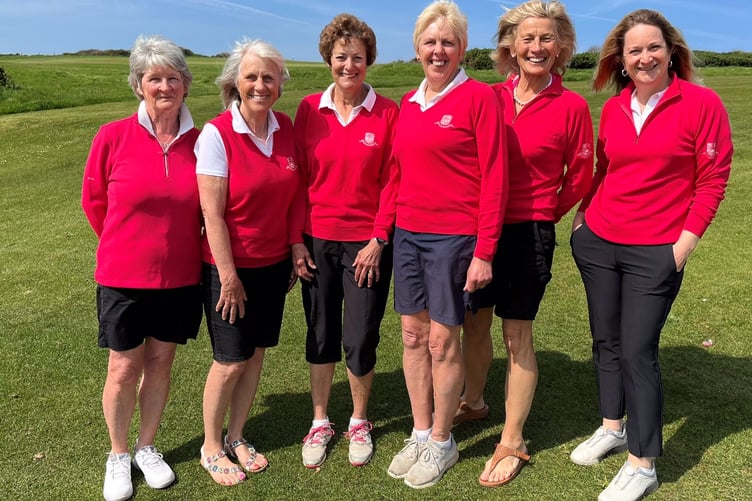 Thurleston Devon League Ladies Team
