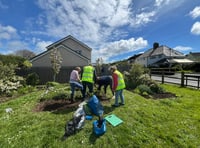 Salcombe's Green Team swings into action