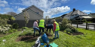 Salcombe's Green Team swings into action
