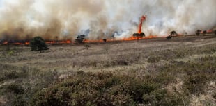 RSPB and Fire Service issue summer fire safety appeal
