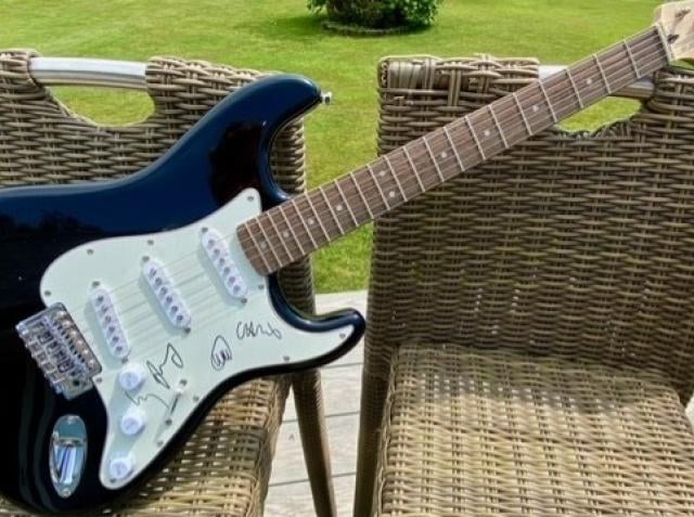 Signed Coldplay guitar up for grabs in hedgehog charity fundraiser