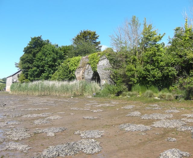 A silver jubilee visit to the salt marshes | Nature Diary 
