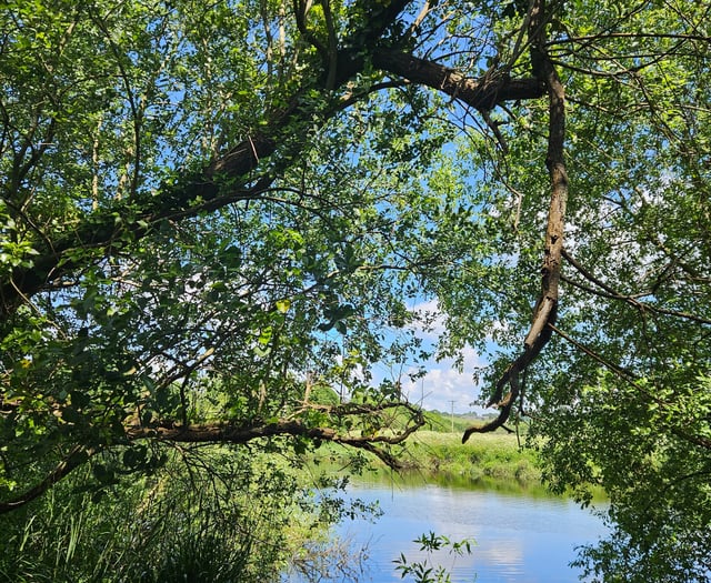 Letters | June 13 2024