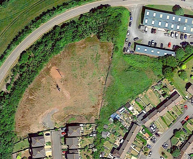 Forest turned into weedkiller wasteland