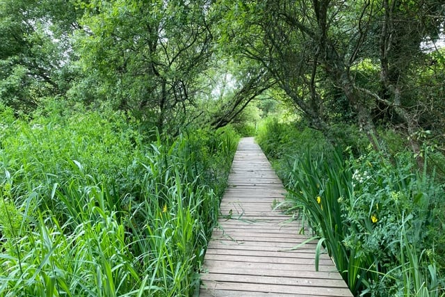 Nature Diary | Navigating natures risks 