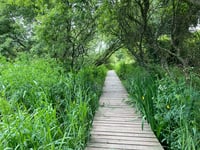 Nature Diary | Navigating natures risks 