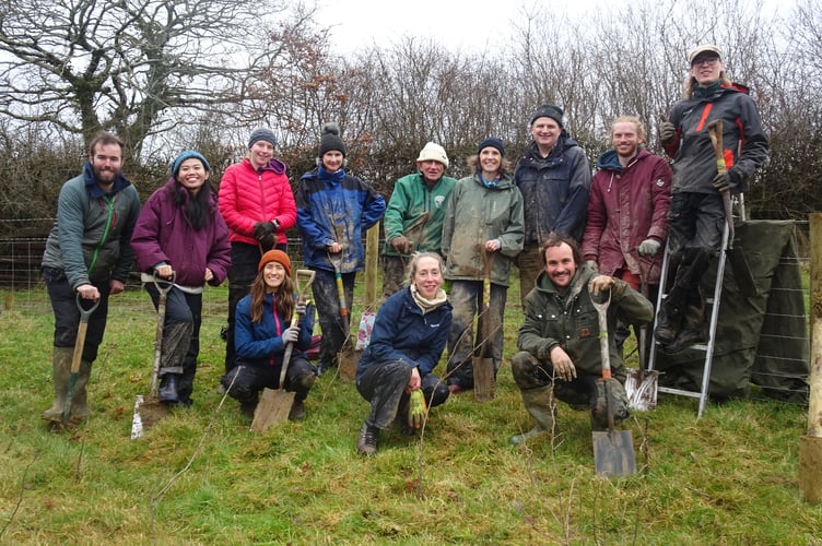 Tree Planting volunteers on Dartmoor (c) Moor Trees