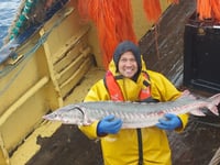 Catch of the decade? 