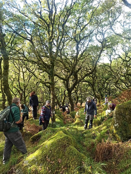 The aim is to plant 90,000 trees over the next three years 