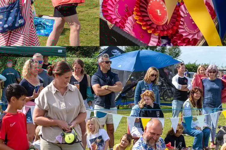 Strete Village Day Dog show 
