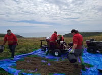 Southdown Farm completes first harvest of wildflower seeds