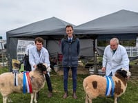 Another successful Kingsbridge Show 