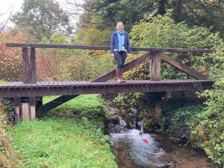 Lukesland Artist-in-Residence Clare Law