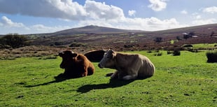 Councils told to 'be bold' with taxes on second homes