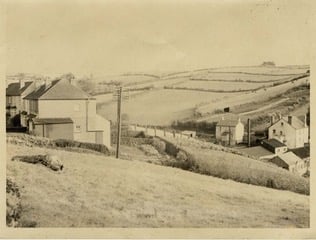 Local View - houses on left at Stentiford Hill, Kingsbridge, view over gardens at northern end of Wallingford Road on the other side of the valley.