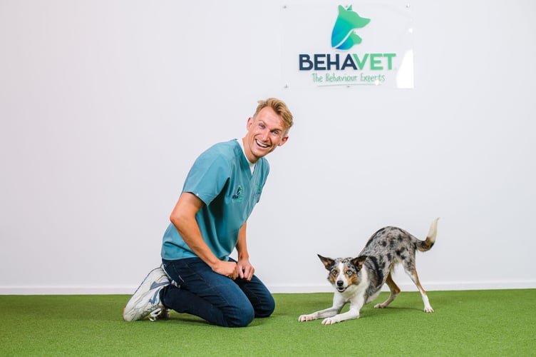 Dr Tom Mitchell (Behavet) working with Casino the dog