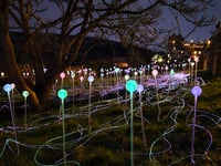 Salcombe welcomes back 200 lights