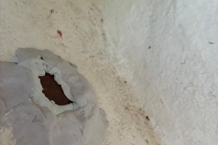 Putty is placed around the hole a marlin pierced in one of the MayflowerÕs cabins on January 18, 2025, as part of the repair process. Release date January 21 2025. An Atlantic rowing challenge was nearly sunk after the crew was attacked by a giant speared fish - piercing a hole in the boat. The four British men competing in the extreme mission say they are lucky to be alive - after a 12ft marlin weighting 300lbs skewered their vessel. It pierced a substantial hole in one of the cabins - just inches away from the leg of the boat's skipper. The Mayflower crew, consisting of Glynne Dunn, Dan Lewis, Dan Wooler and Paul Adams, set off on The World's Toughest Row on 11 December from La Gomera, in the Canary Islands. The team, all from Devon, have embarked on a 3,000 mile (4,828km) journey to Antigua, for around 40 days, to raise money for charity. Crew member Dan Wooler, who was sat inches from where the marlin struck the Mayflower on Saturday (18 January) mid-afternoon, said: ÒIt was like being hit by a car - IÕll never forget that crunching sound!