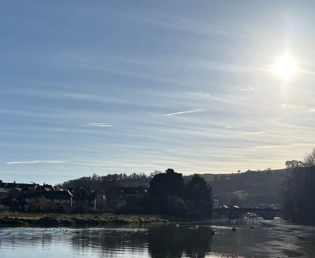 Village Voice | January 30