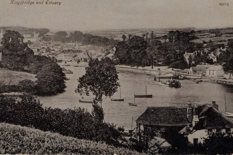 1905 (circa) view of Kingsbridge and estuary from Tacket Wood, also shows a steam packet.
