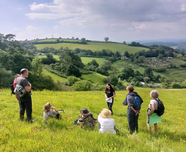 Devon’s newest rainforest takes root near Totnes