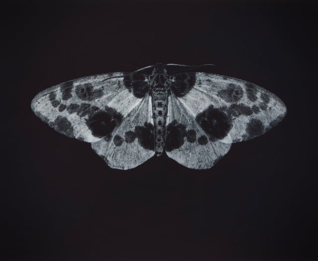 A gallery redefining contemporary art in the South West