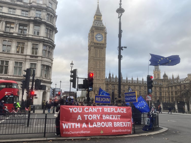 Rejoin campaigners at Westminster