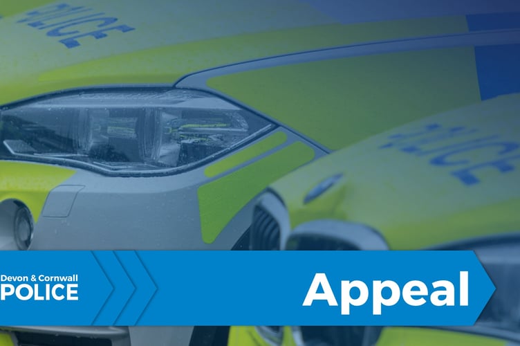 Police crash investigators appealing for witnesses to accident on A38.