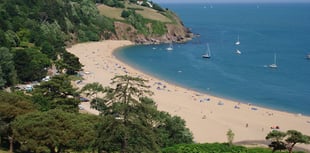 Popular South Hams music festival cancelled