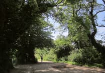 Join the West Charleton village party