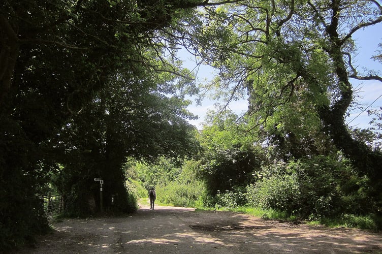 Marsh Lane, West Charleton by Derek Harper