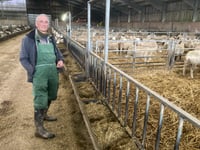 South Hams sheep farmer creates own breeds