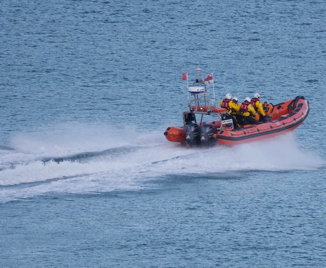 Dart RNLI lifeboats both involved in operation