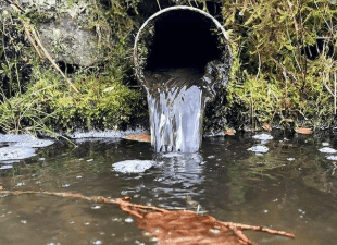Richard Howell | Time to flush the excuses