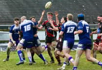 Home games aplenty for South Hams rugby rabble on opening day
