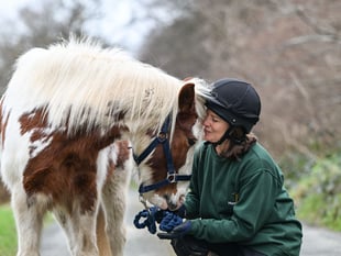 Rehome a pony and give another a lifeline