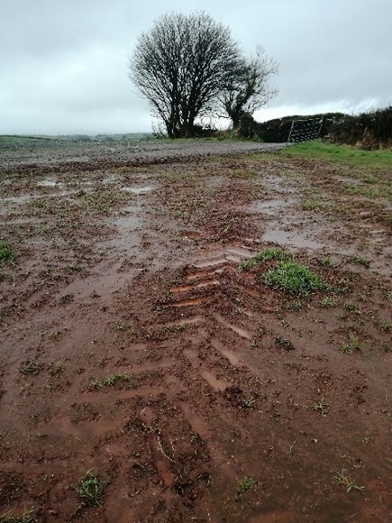 Soil Erosion Caroline Snow