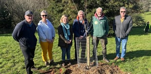 MP joins celebrations for Radford Arboretum anniversary