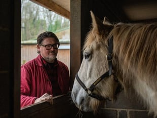 Tough times for horses and ponies