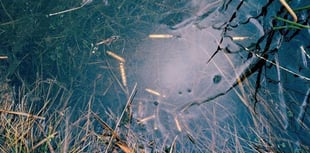 Exeter’s museum acquires photographic artwork of Dartmoor