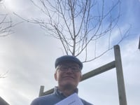 Project begins to plant Kingsbridge-funded trees around the world