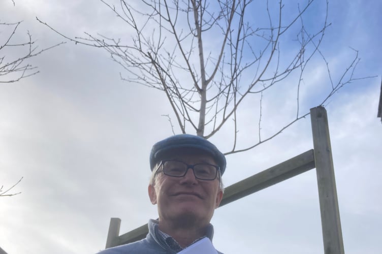 Kingsbridge Trees Around The World Chair Paul Vann