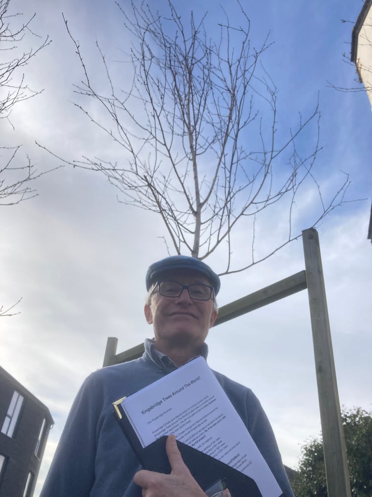 Kingsbridge Trees Around The World Chair Paul Vann