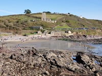 Discover marine life with Devon Wildlife Trust Wembury Beach survey