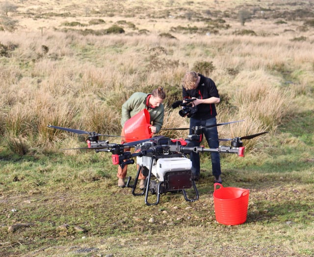 Drones plant 75,000 tree seeds in UK