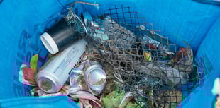 Beach Clean starts in South West Devon