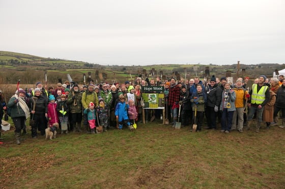 Celebrating Biodiversity: The success of Hope Wood
