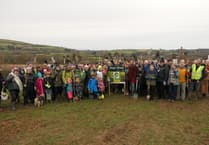 Celebrating Biodiversity: The success of Hope Wood