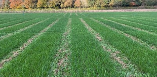 ProCam forage trials 